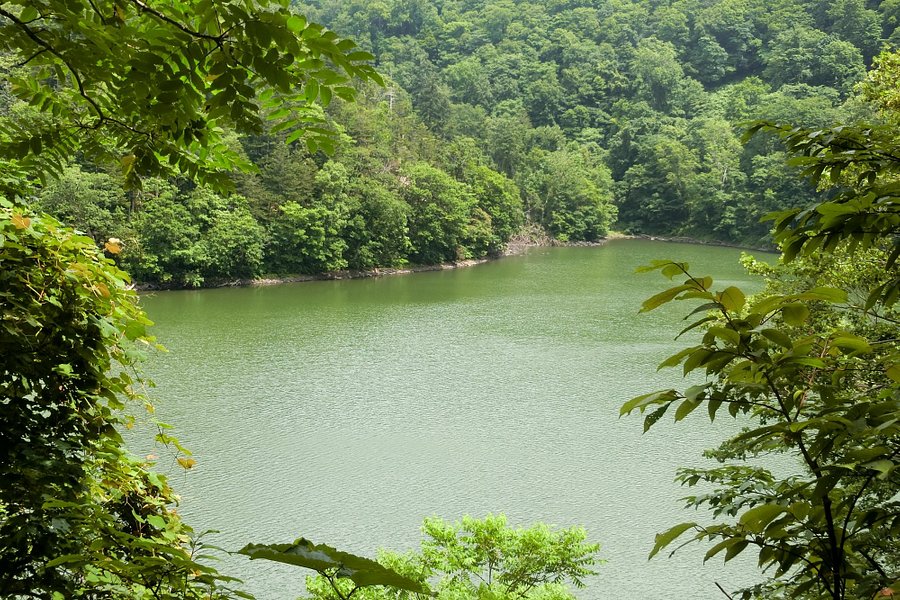 Lake Hangetsu Nature Park image