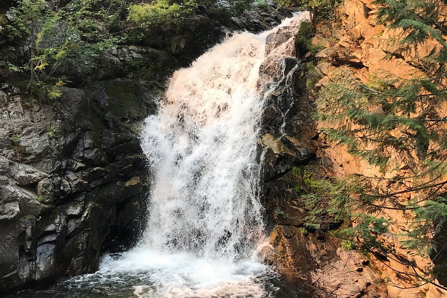 Falls Creek Falls Trail Head image