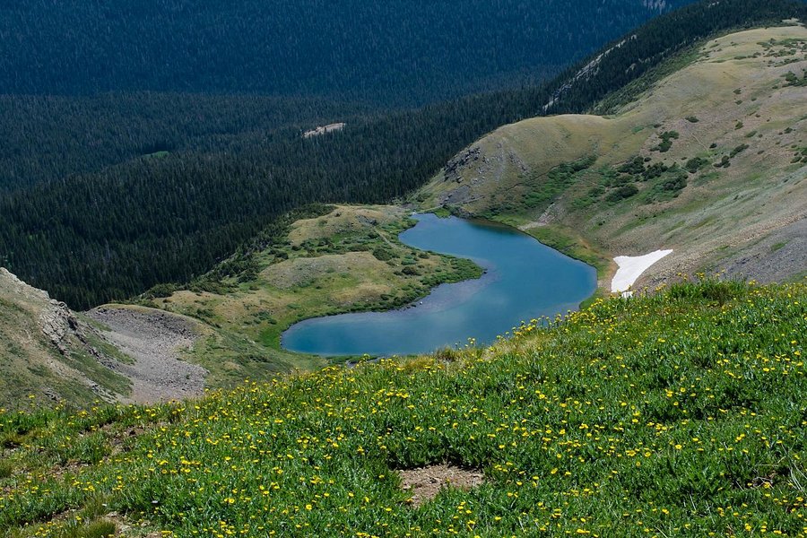 Wheeler Peak Wilderness Area image