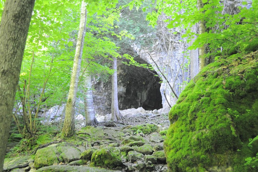 Bruce's Caves Conservation Area image