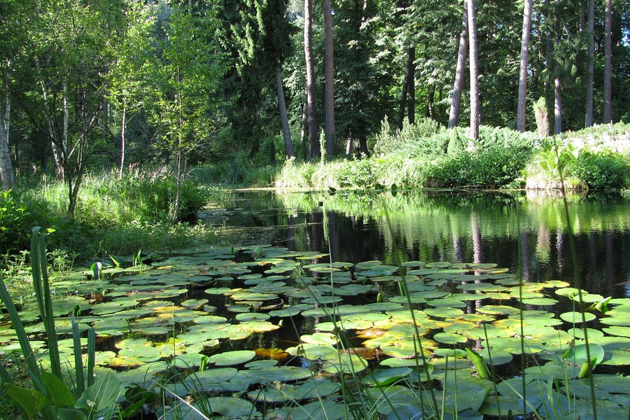 Lesne Arboretum Warmii i Mazur image