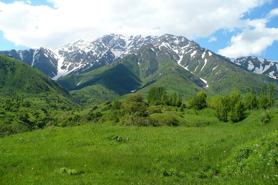 Aksu-Zhabagly Reserve image