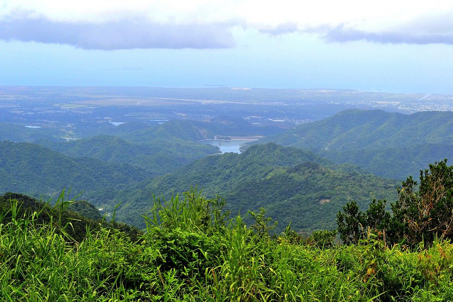 Cerro de Punta image