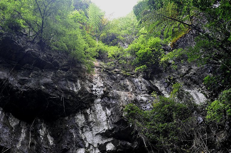 Pha Phueng Cave image