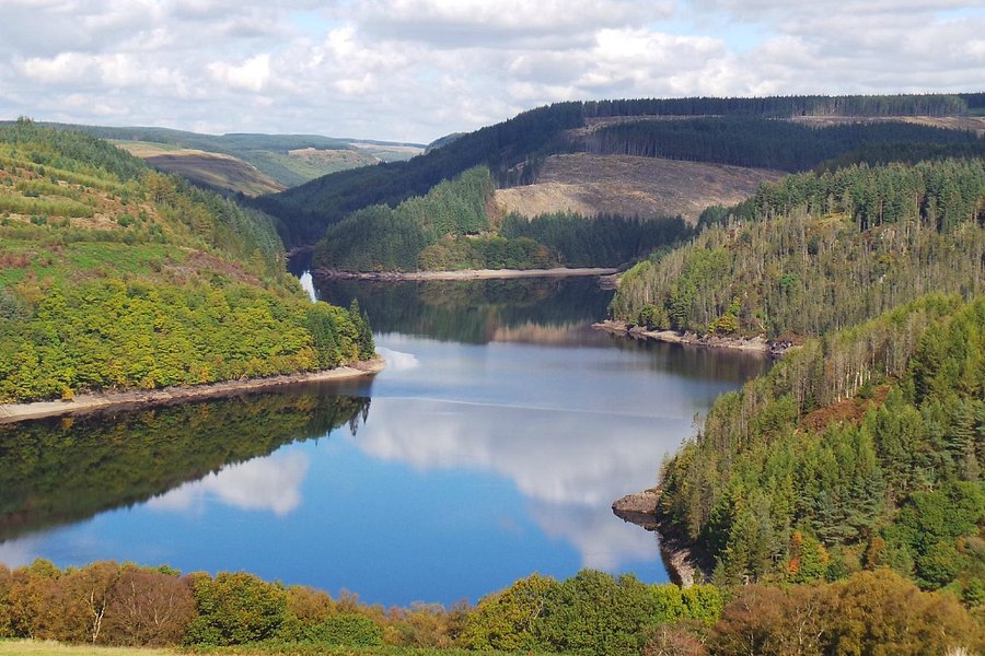 Llyn Brianne Dam and Reservoir image