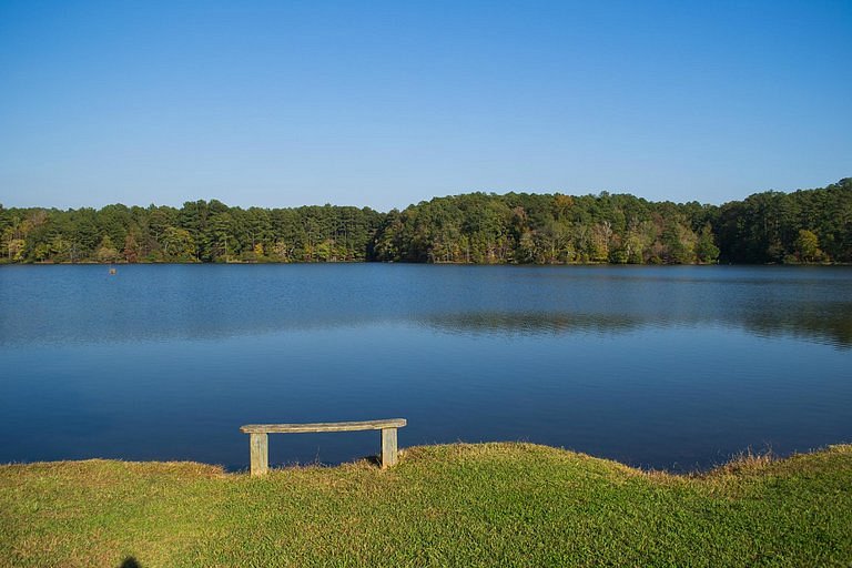 Walker County Public Fishing Lake image