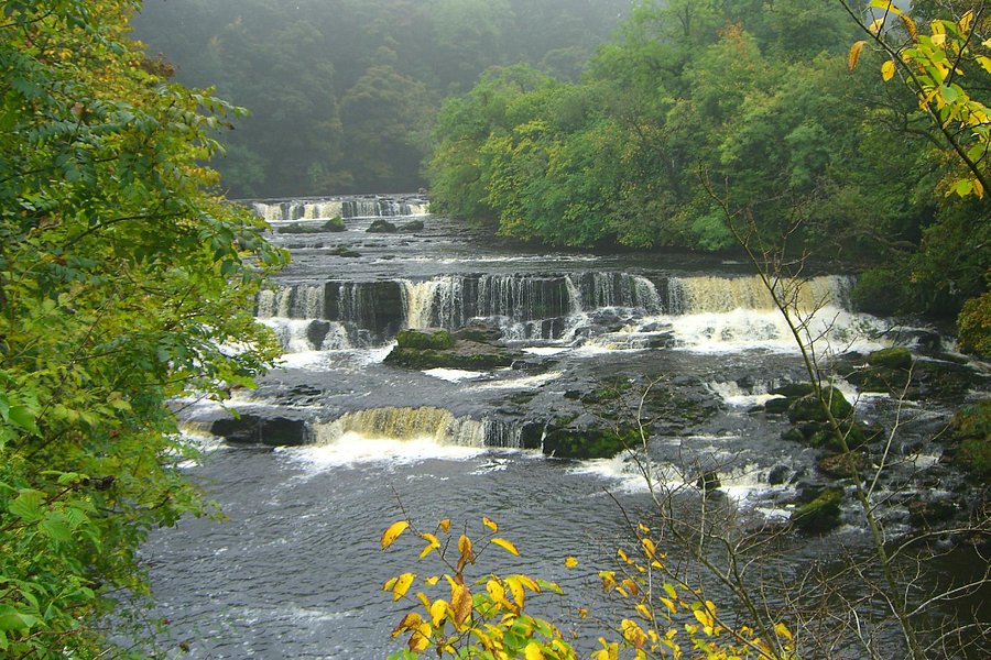 Aysgarth Falls image