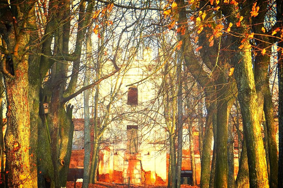 Monyushko-Vankovichy Palace image