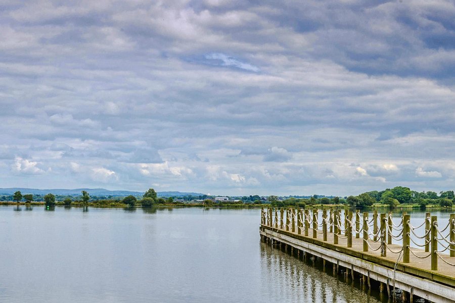 Lough Neagh Discovery Centre image