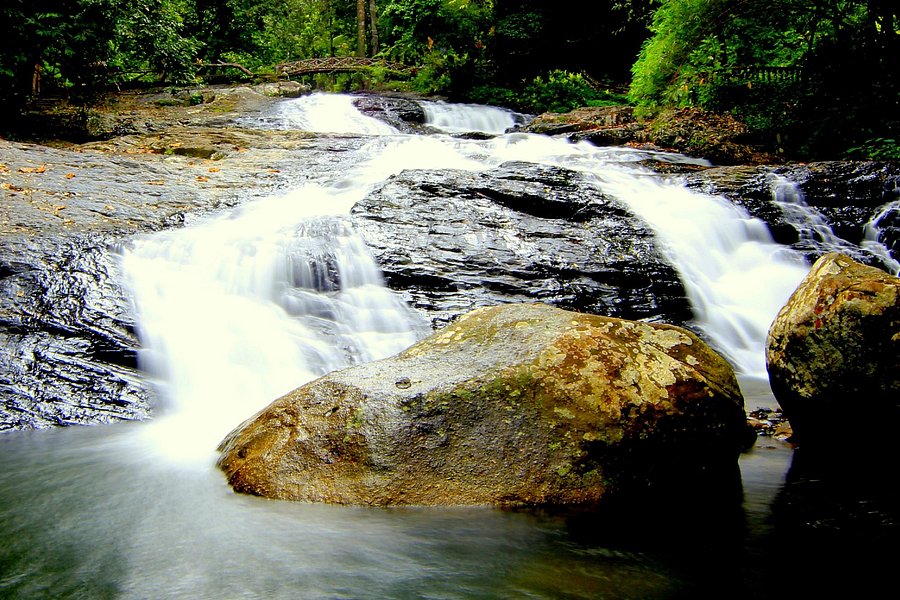 Bukit Hijau Recreation Park image