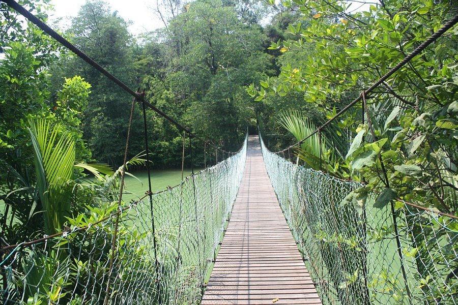 Similajau National Park image