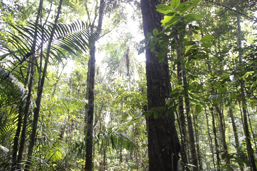 National Park Virua image