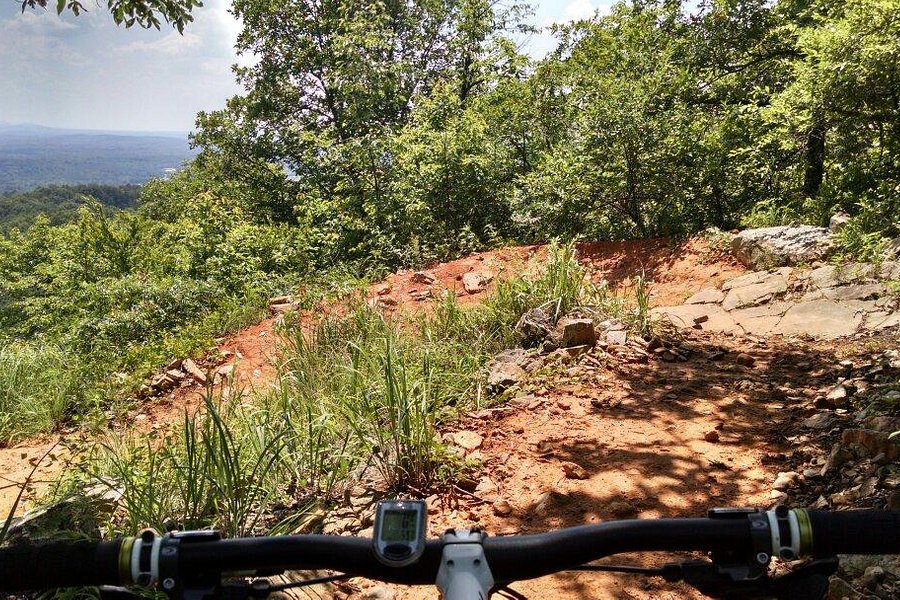 Coldwater Mountain Bike Trail image