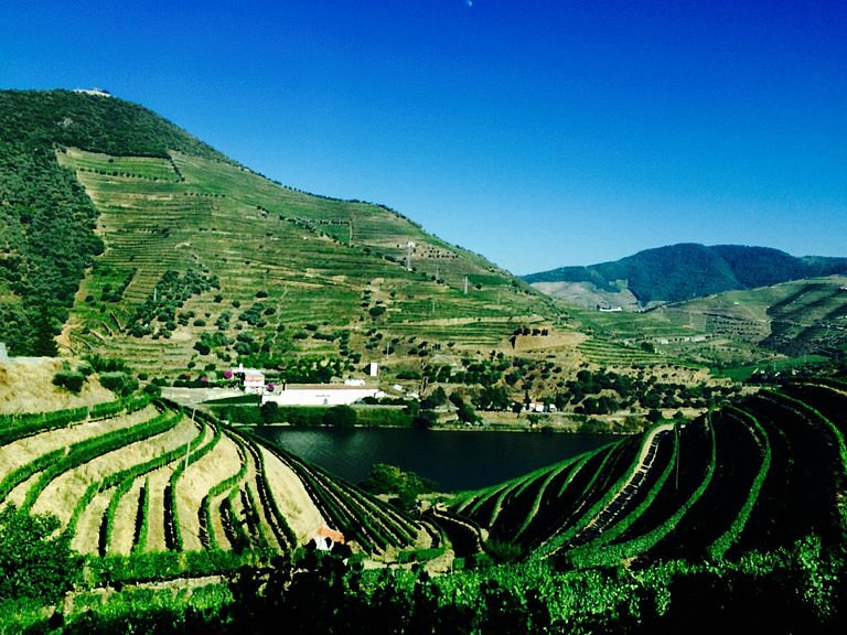 Douro Valley image