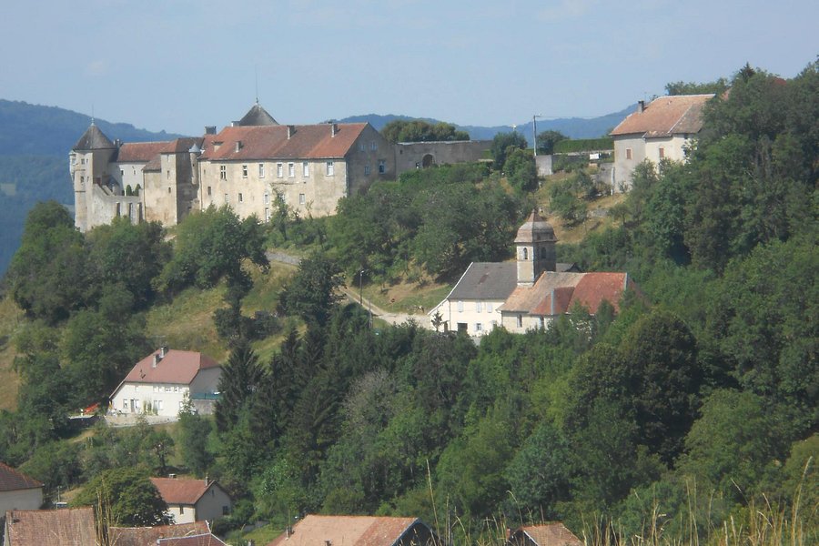 Château de Belvoir image