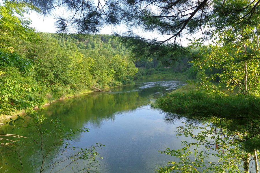 Manistee River image