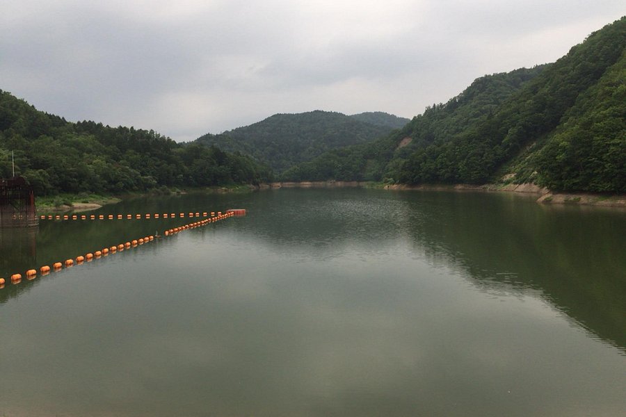 Tsukigata Dam image