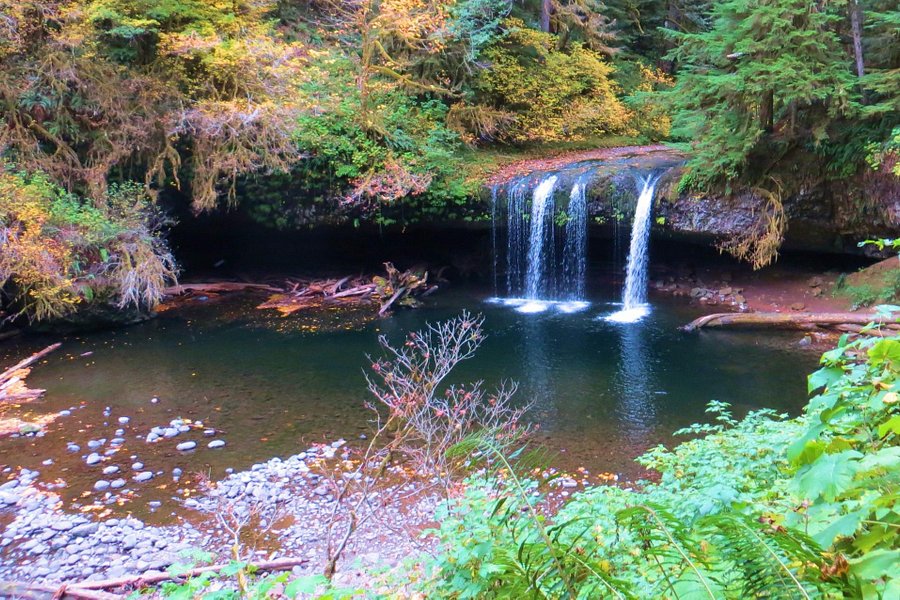 Butte Creek Falls image