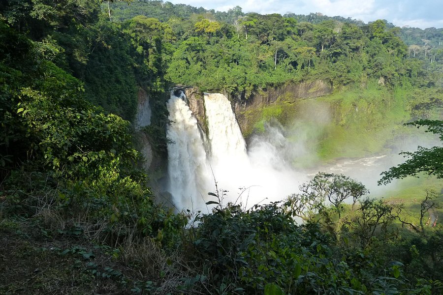 Ekom-Nkam Waterfalls image