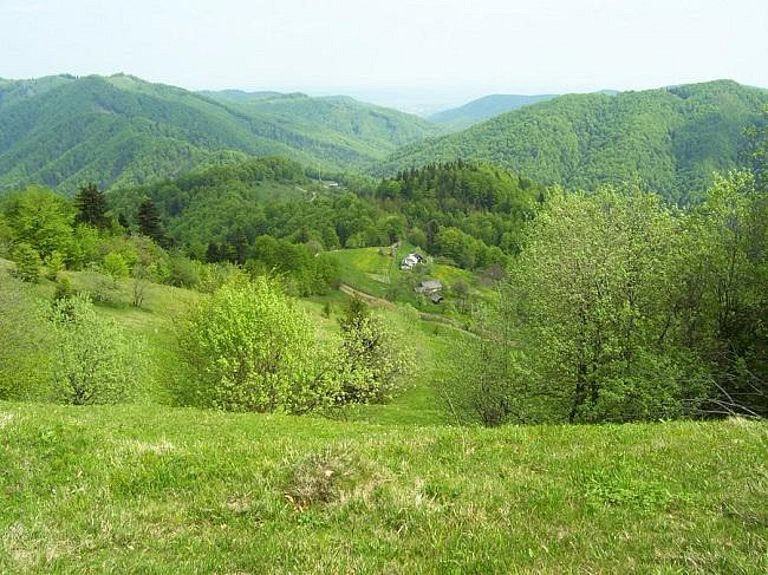 Vyzhnytsia National Park image