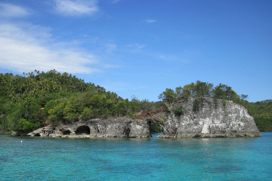 Sarangani Island image