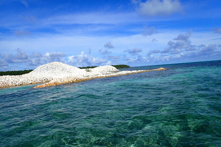 Horseshoe Reef image