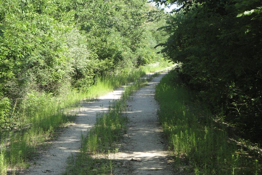 Ahnapee State Trail image