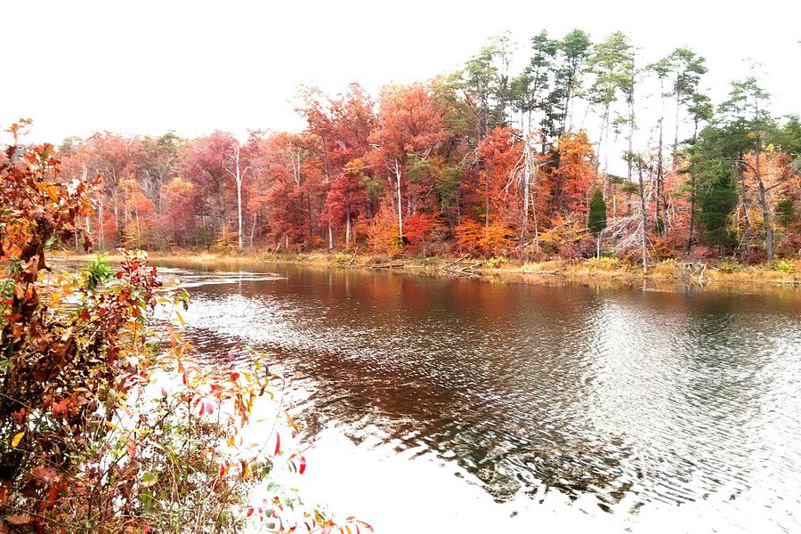 Deam Lake State Recreation Area image