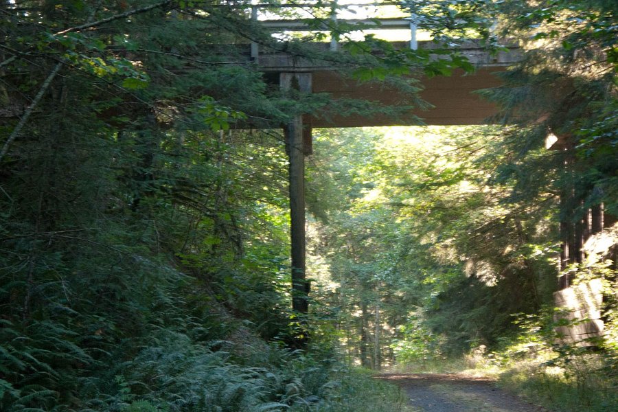 Crown Zellerbach Trail image