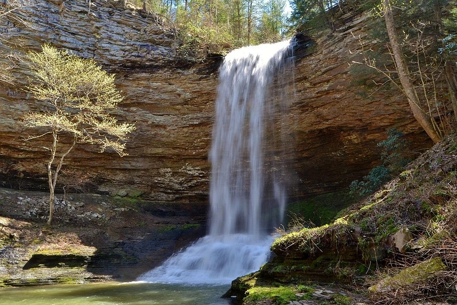 Piney Creek Falls image
