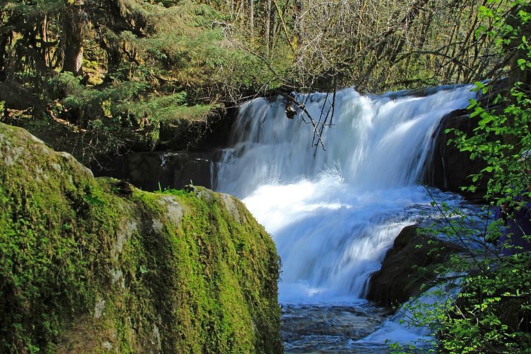 Alsea Falls Recreation Site image