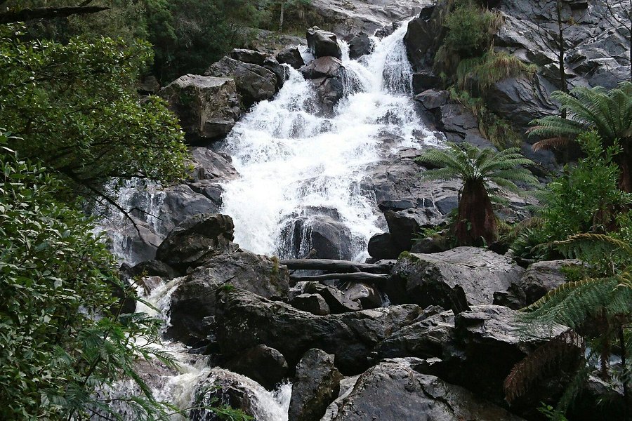 St Columba Falls Reserve image