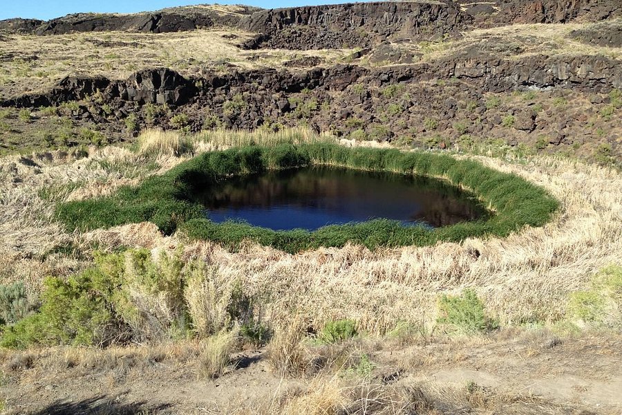 Diamond Craters Outstanding Natural Area image