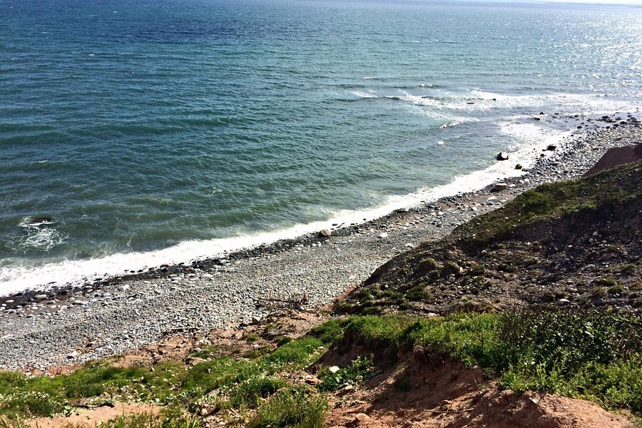 Lawrencetown Beach image