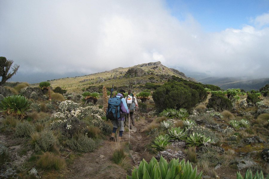 Mt. Kenya Guides and Porters Club image