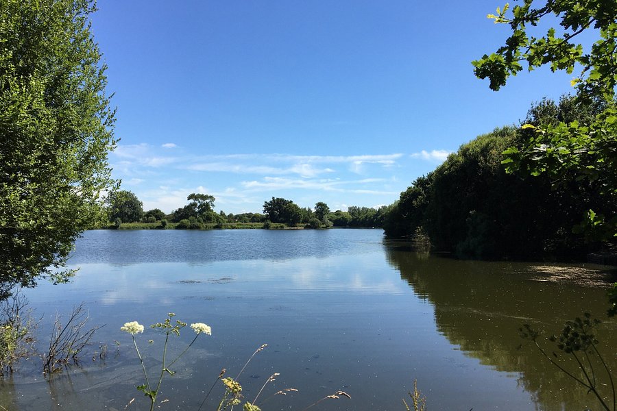 Dinton Pastures Country Park image