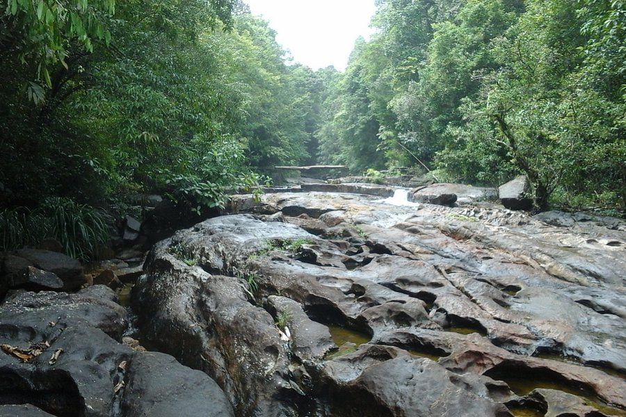 Makandawa Forest Reserve image