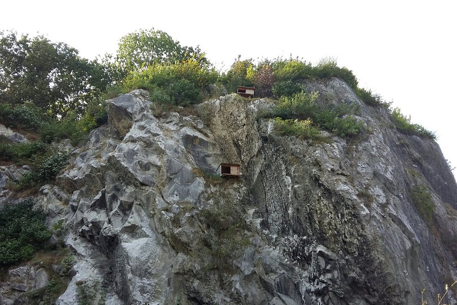 Segeberger Kalkberghöhle image