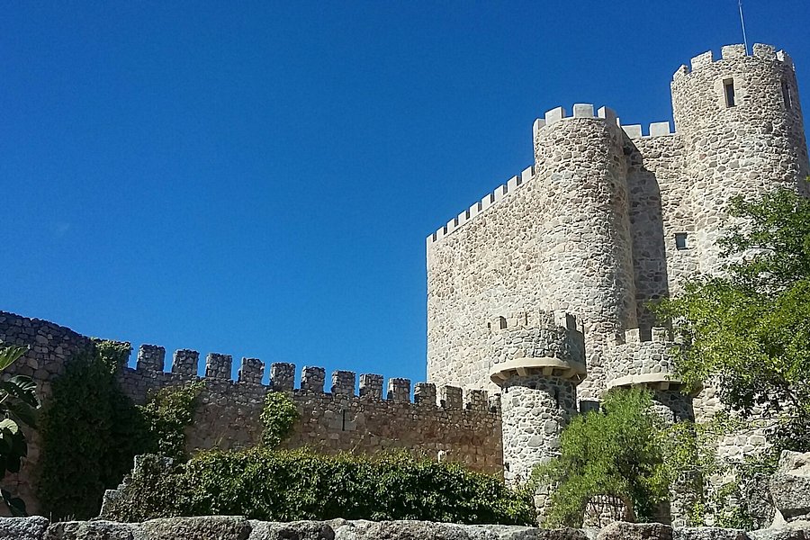 Castillo de la Coracera image