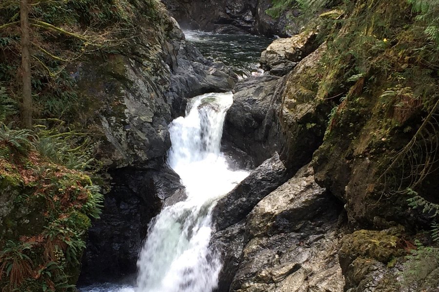 Twin Falls image