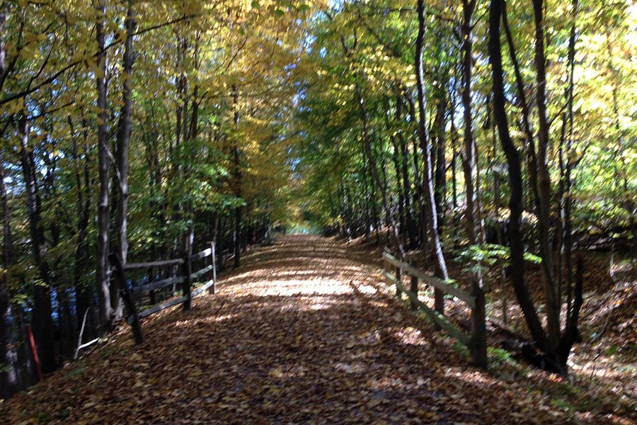 Montour Trail - Bethel Park Branch image