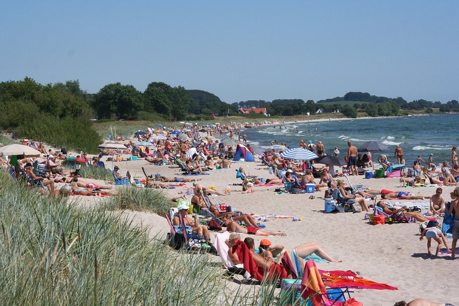 Mossbystrand beach image