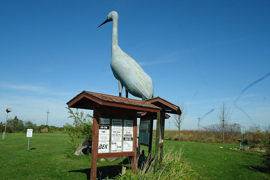 World's Largest Sandhill Crane image