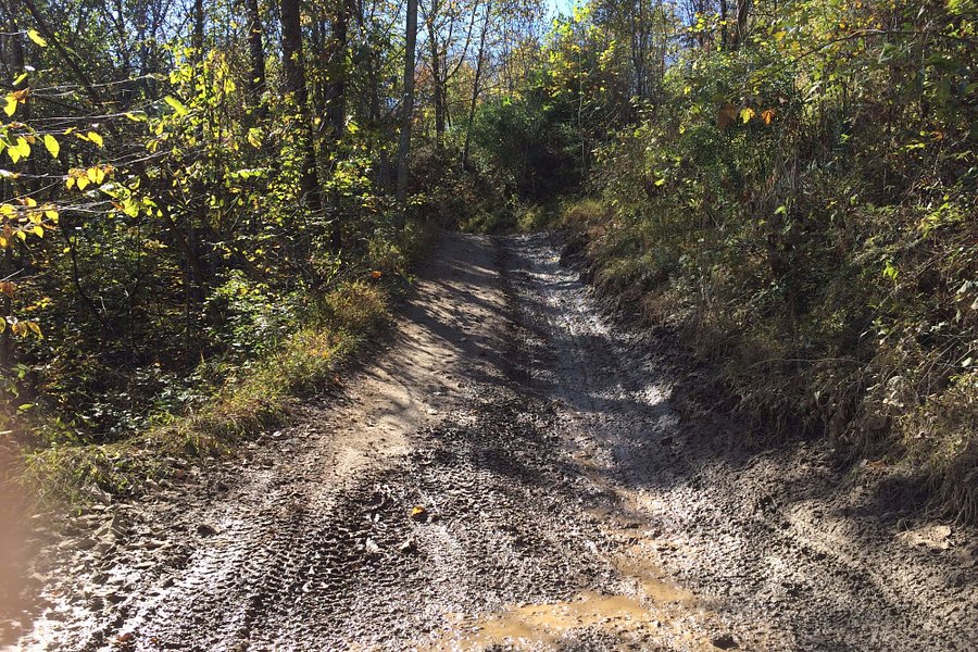 Rockhouse Trail System, Hatfield and McCoy Trails image