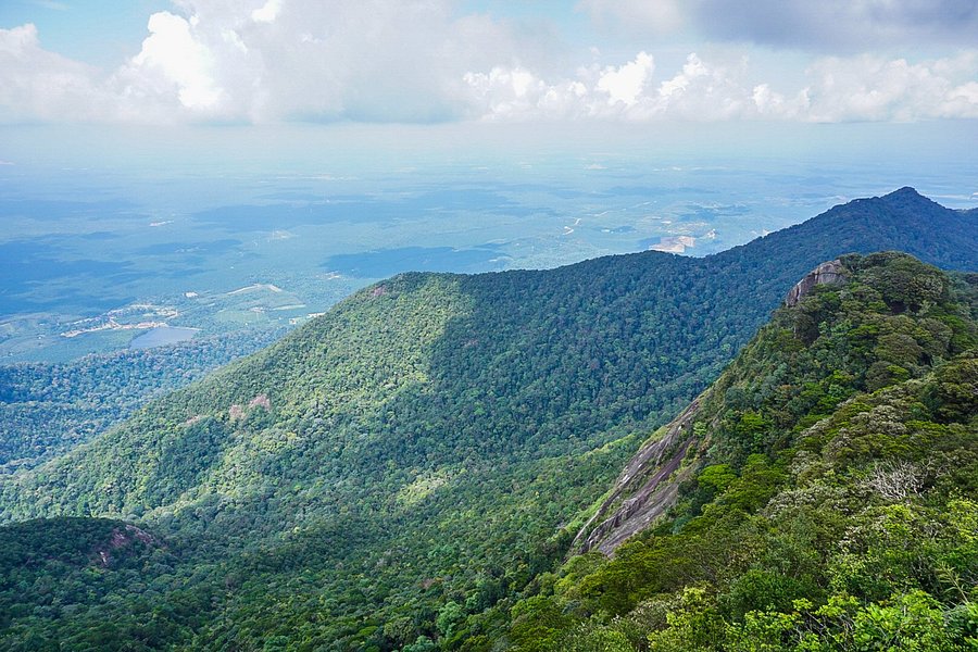 Gunung Ledang (Mount Ophir) image