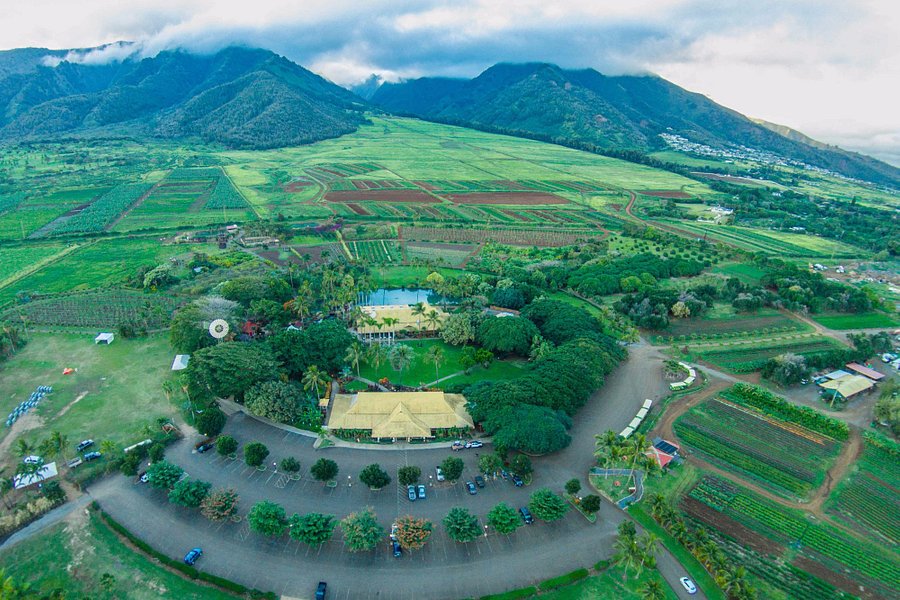 Maui Tropical Plantation image