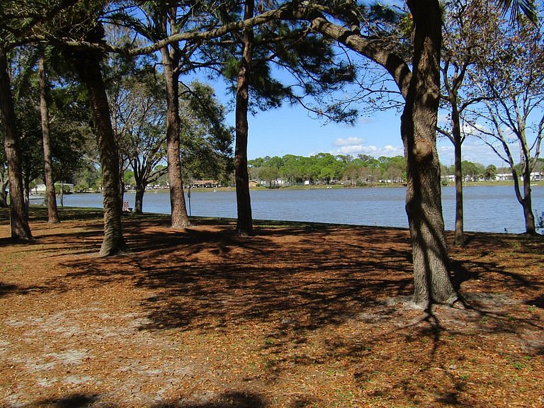 Freedom Lake Park image