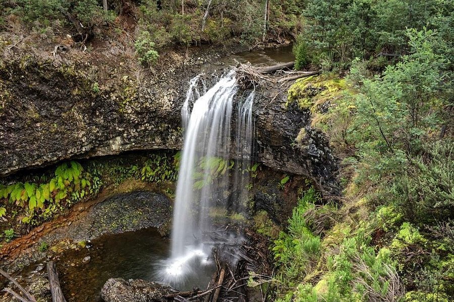 Tarraleah Falls image