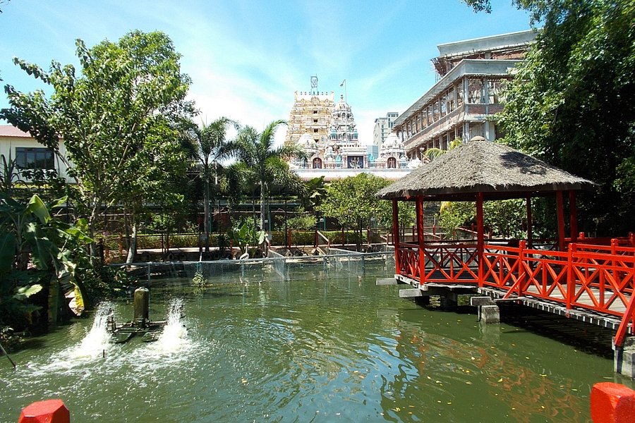 Penang Bird Park image