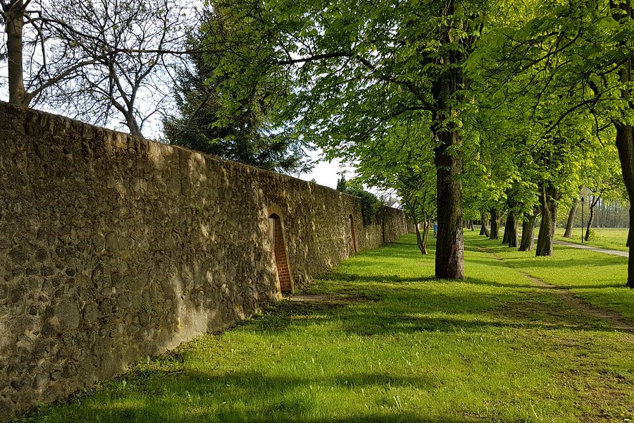 Historische Stadtmauer image